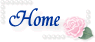 home�ɖ߂�